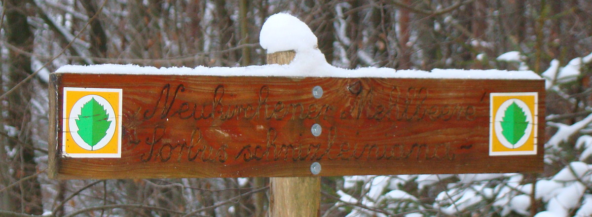 Ergänzendes Wegzeichen: Das Mehlbeerblatt &ndash;  (VGN &copy;&nbsp;VGN GmbH)