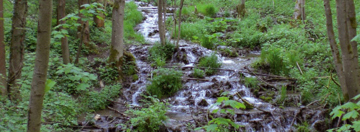 Im Todsfeldtal &ndash;  (VGN &copy;&nbsp;VGN GmbH)