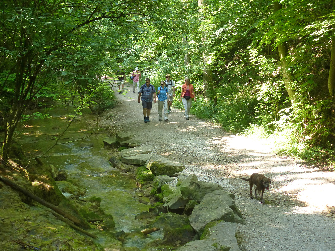 Entlang der Lillach &ndash;  (14.07.2013, VGN &copy;&nbsp;VGN GmbH)