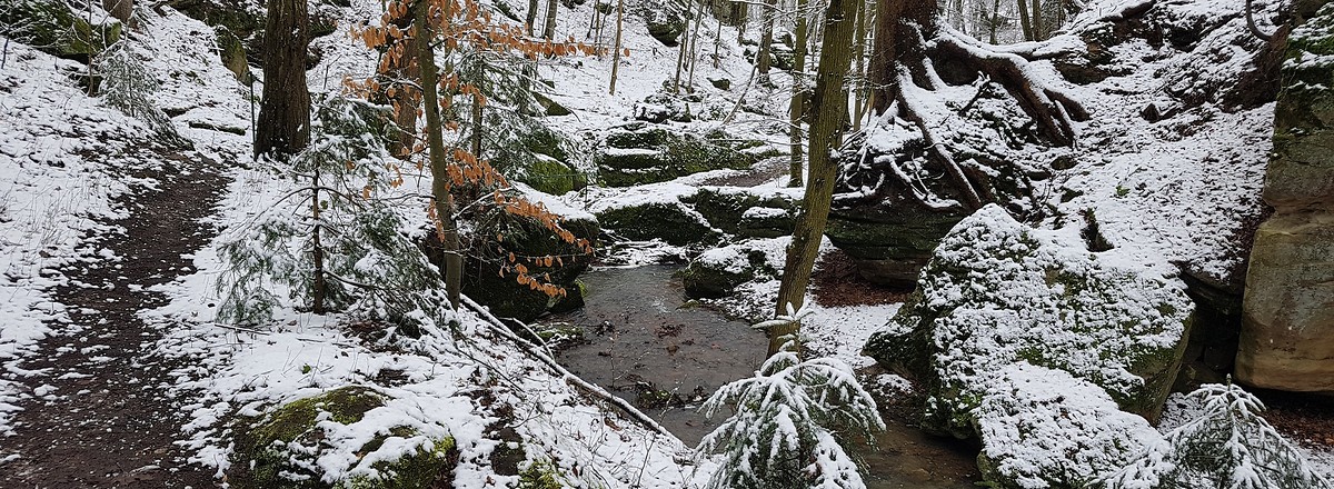 Im Salamandertal &ndash;  (28.02.2020, S. Dassler &copy;&nbsp;VGN GmbH)