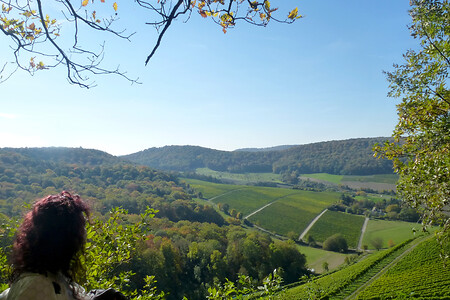 Aussicht &ndash; (19.10.2013, VGN &copy;&nbsp;VGN GmbH)