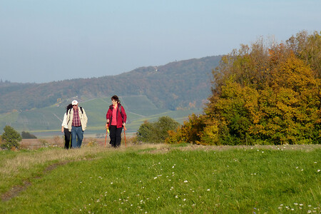 Zwischen Castell und Wiesenbronn &ndash; (19.10.2013, VGN &copy;&nbsp;VGN GmbH)