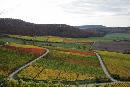 Casteller Weinlagen &ndash; (26.10.2013, VGN &copy;&nbsp;VGN GmbH)