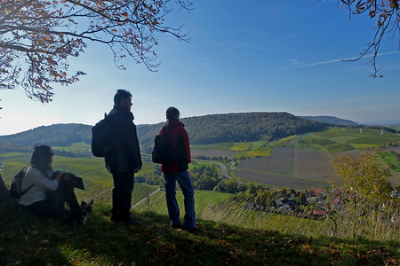 Blick zum Schwanberg &ndash; (VGN &copy;&nbsp;VGN GmbH)