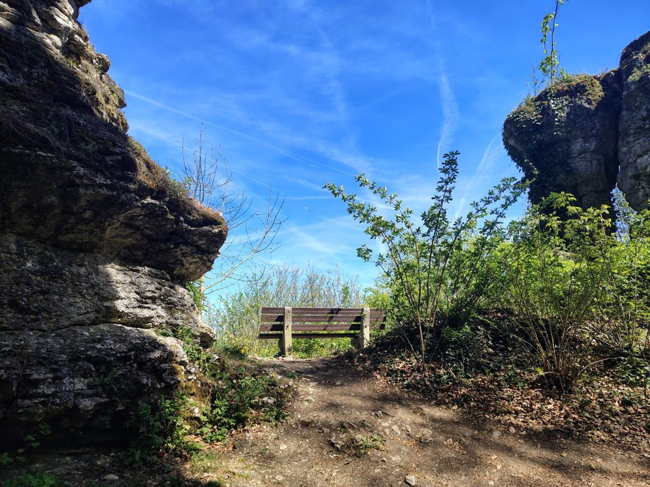 Aussichtsfelsen Adlerstein &ndash;  (&copy;&nbsp;Stemper_NP)