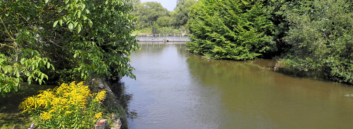 Die Rednitz in Rednitzhembach &ndash;  (22.08.2012, VGN &copy;&nbsp;VGN GmbH)