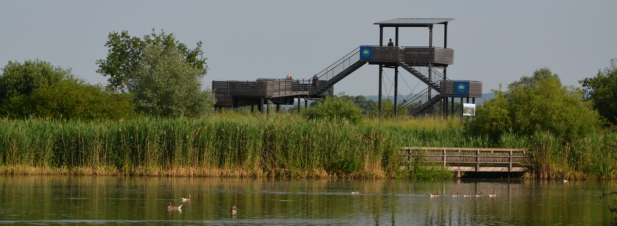 Blick auf Vogelinselturm &ndash;  (29.09.2015, VGN &copy;&nbsp;VGN GmbH)