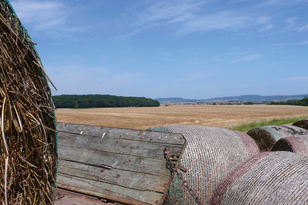 Strohballen &ndash; (14.07.2007, VGN &copy;&nbsp;VGN GmbH)