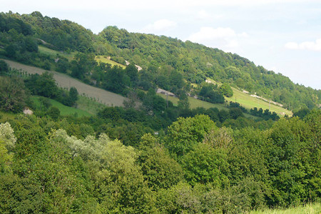 Taubertal Hang &ndash; (14.07.2007, VGN &copy;&nbsp;VGN GmbH)
