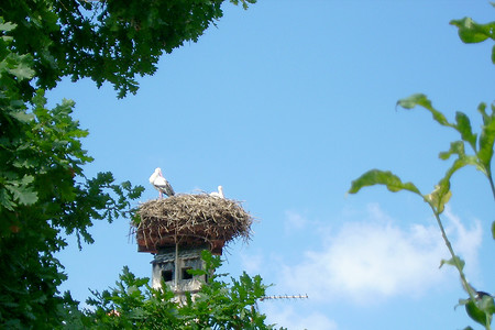 Storchennest im Aischgrund &ndash; (27.07.2005, VGN &copy;&nbsp;VGN GmbH)