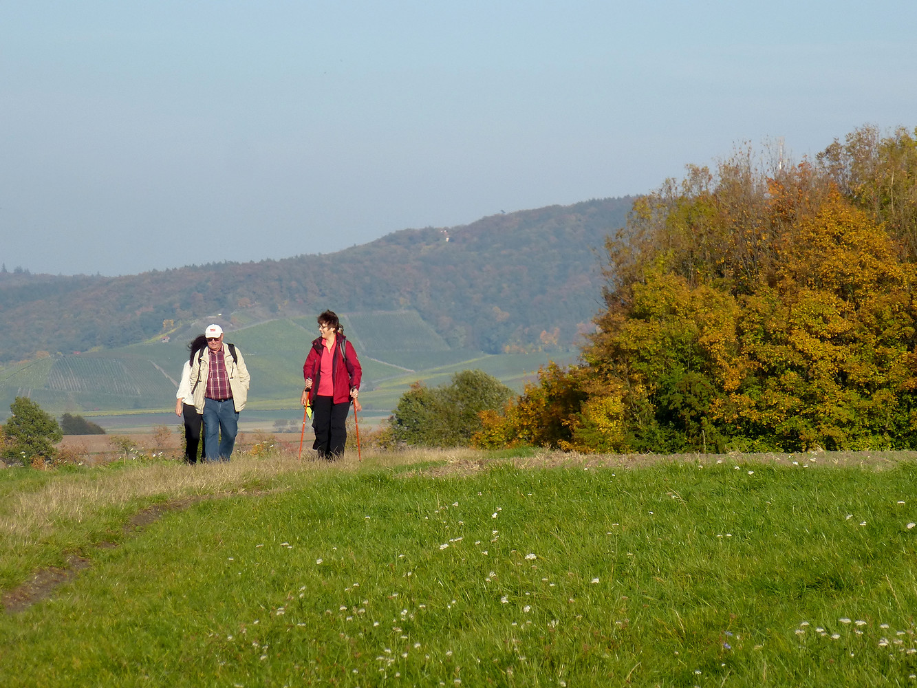 Zwischen Castell und Wiesenbronn &ndash;  (19.10.2013, VGN &copy;&nbsp;VGN GmbH)