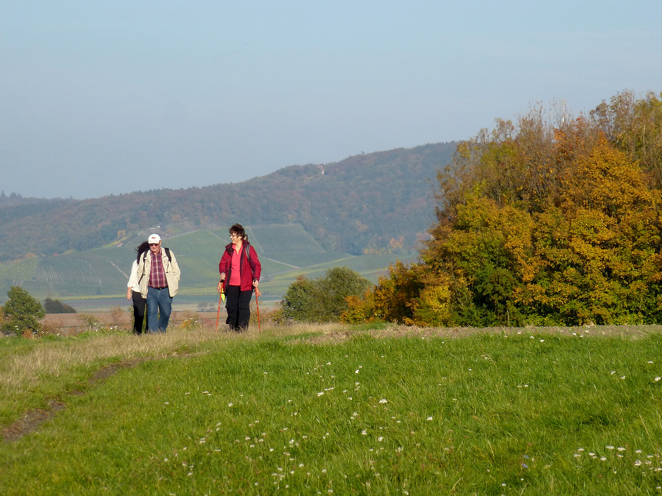 Zwischen Castell und Wiesenbronn &ndash;  (19.10.2013, VGN &copy;&nbsp;VGN GmbH)