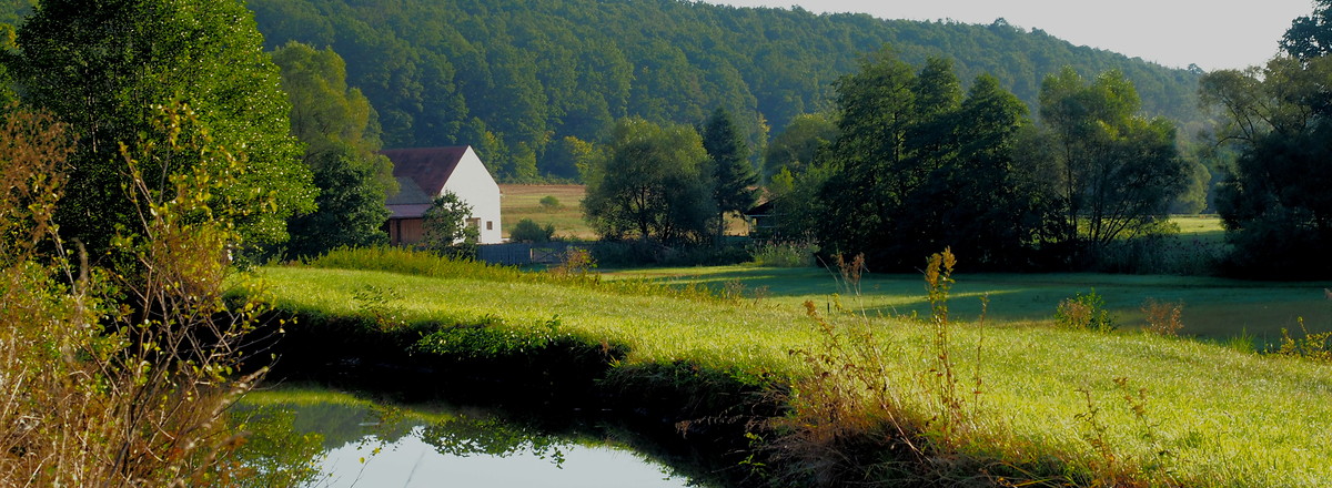 An der Aurach &ndash;  (04.09.2019, U. Buescher &copy;&nbsp;VGN GmbH)