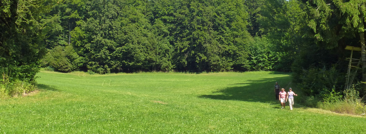 Ankatal &ndash;  (06.07.2014, VGN &copy;&nbsp;VGN GmbH)