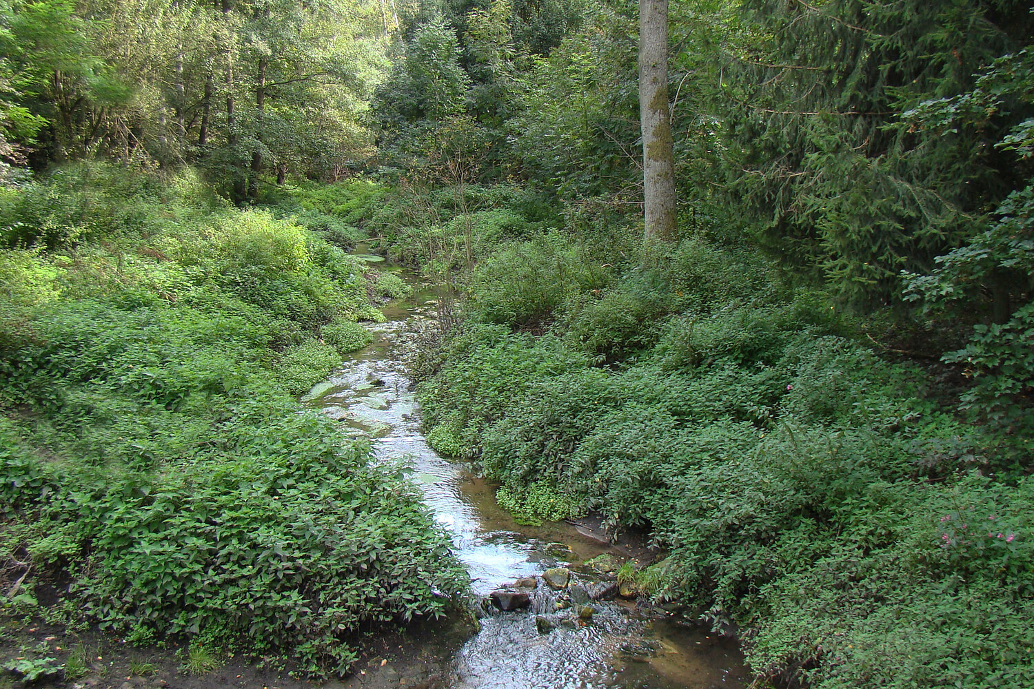 Langwassergraben &ndash;  (VGN &copy;&nbsp;VGN GmbH)