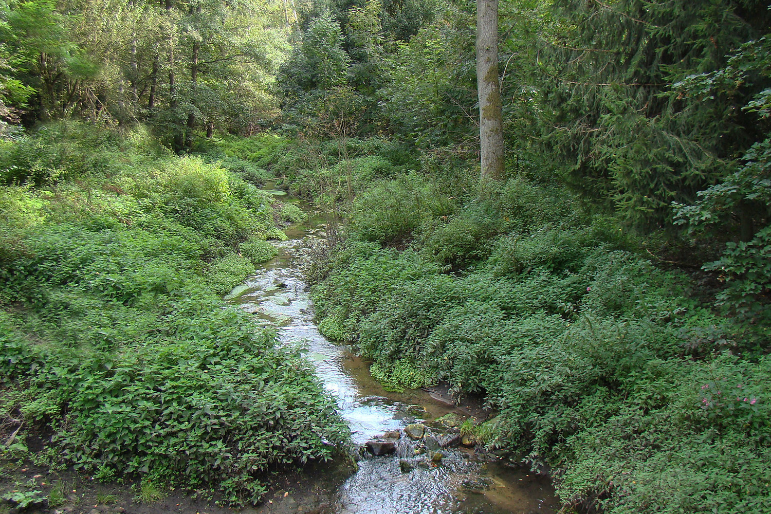 Langwassergraben &ndash;  (VGN &copy;&nbsp;VGN GmbH)