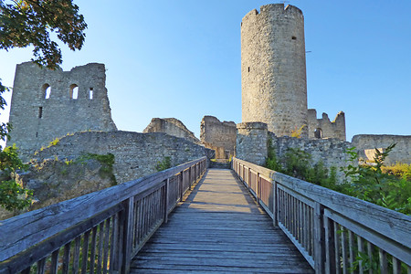 Burgruine Wolfstein &ndash; (06.11.2018, Anita Korndörfer &copy;&nbsp;Stadt Neumarkt i.d.OPf.)