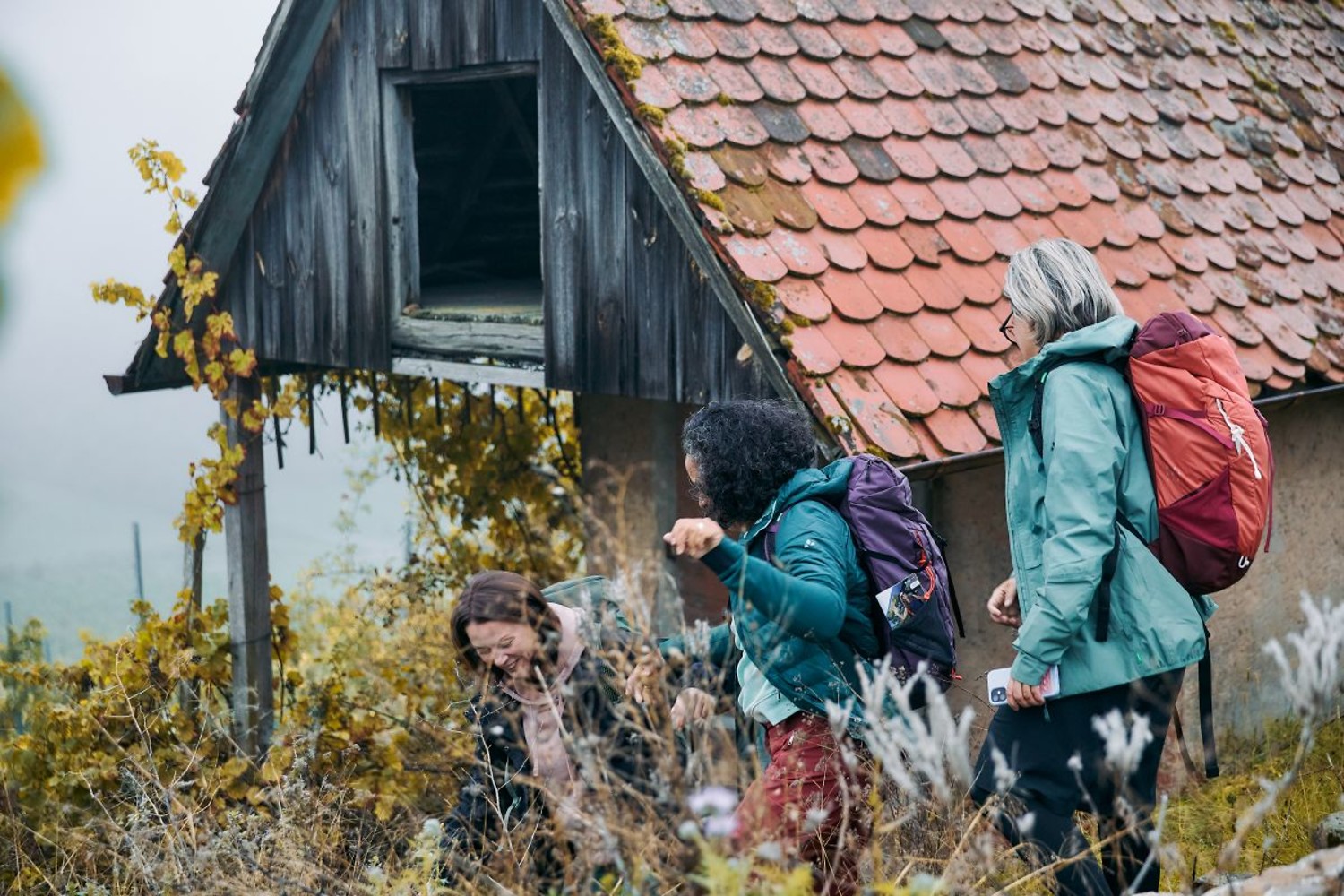 Fernblicke und verwunschene Orte am Herrschaftsberg. &ndash;  (&copy;&nbsp;VGN/A. Gaspar-Klein)