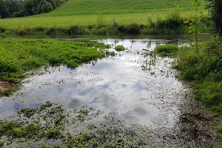 An der Luisenquelle &ndash; (14.08.2019, S. Dassler &copy;&nbsp;VGN GmbH)