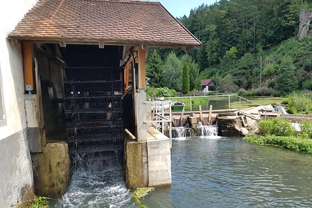 Mühlrad &ndash; (14.08.2019, S. Dassler &copy;&nbsp;VGN GmbH)