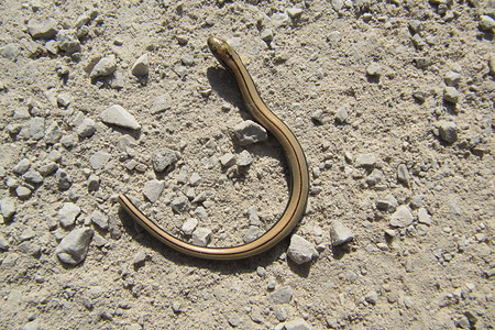 Auf dem Weg &ndash; (14.08.2019, G. Härer &copy;&nbsp;VGN GmbH)