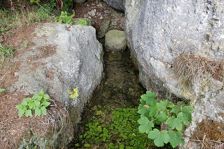 Luisenquelle &ndash; (14.08.2019, S. Dassler &copy;&nbsp;VGN GmbH)