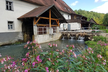 Mühlenidylle Nankendorf &ndash; (14.08.2019, S. Dassler &copy;&nbsp;VGN GmbH)