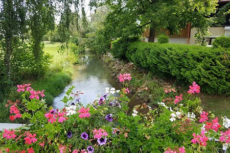 Blumenkästen an der Wiesent &ndash; (14.08.2019, S. Dassler &copy;&nbsp;VGN GmbH)