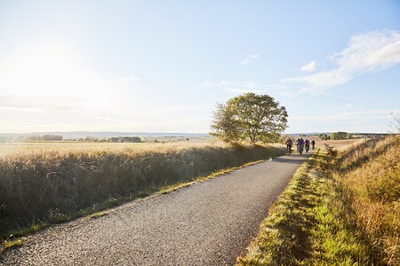 Landschaft &ndash; (04.10.2020, Andrea Gaspar-Klein &copy;&nbsp;VGN GmbH)