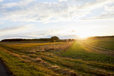 Landschaft &ndash; (04.10.2020, Andrea Gaspar-Klein &copy;&nbsp;VGN GmbH)