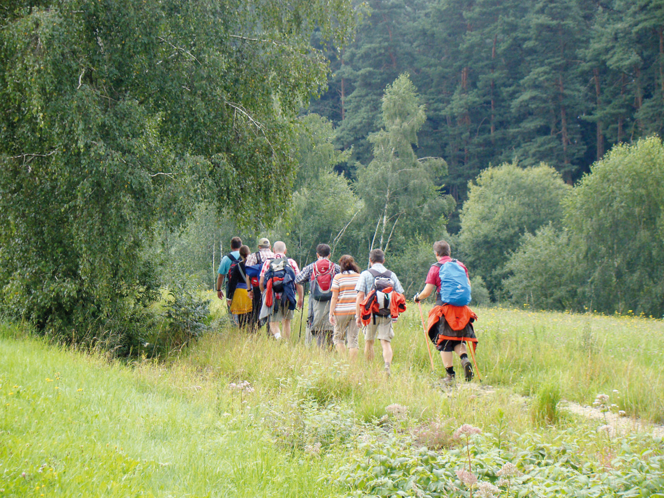 Wandergruppe auf der alten Bahnstrasse &ndash;  (VGN &copy;&nbsp;VGN GmbH und Stadt Auerbach)