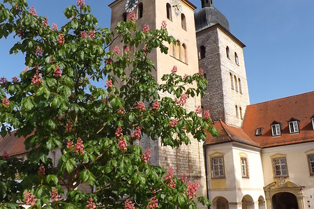 Kloster &ndash; (17.02.2020, VGN &copy;&nbsp;VGN GmbH)