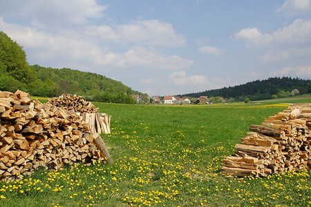 In Richtung Hartmannshof &ndash; (VGN &copy;&nbsp;VGN GmbH)