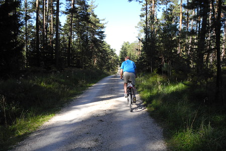 Abfahrt! &ndash; (VGN &copy;&nbsp;VGN GmbH)