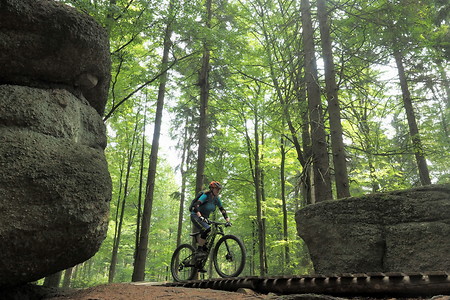 Steine im Wald &ndash; (31.08.2019, U. Buescher &copy;&nbsp;VGN GmbH)