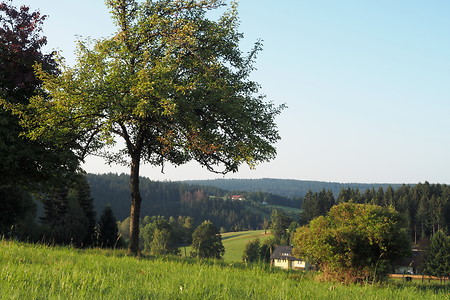 Landschaft &ndash; (31.08.2019, U. Buescher &copy;&nbsp;VGN GmbH)
