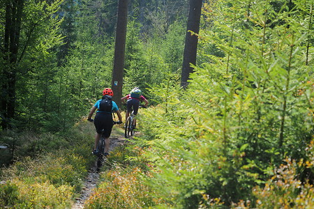 Waldweg &ndash; (31.08.2019, U. Buescher &copy;&nbsp;VGN GmbH)