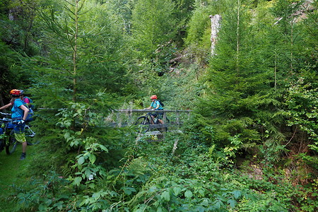 Waldweg &ndash; (31.08.2019, U. Buescher &copy;&nbsp;VGN GmbH)