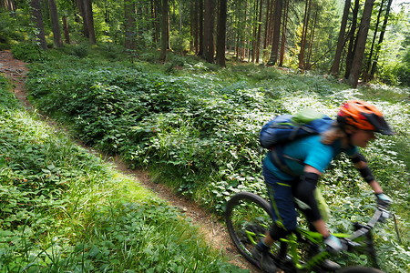 Waldweg &ndash; (31.08.2019, U. Buescher &copy;&nbsp;VGN GmbH)