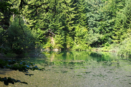 Moor &ndash; (31.08.2019, U. Buescher &copy;&nbsp;VGN GmbH)