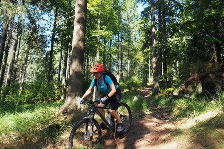 Waldweg &ndash; (31.08.2019, U. Buescher &copy;&nbsp;VGN GmbH)