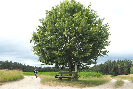 Wegekreuzung &ndash; (07.07.2019, U. Buescher &copy;&nbsp;VGN GmbH)