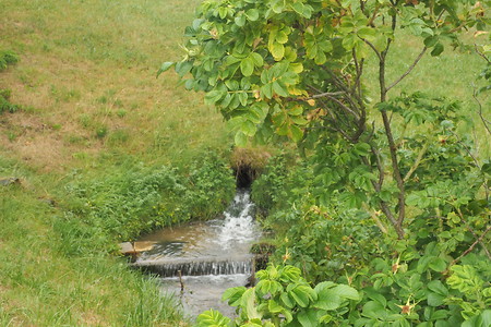 Am Wasser &ndash; (07.07.2019, U. Buescher &copy;&nbsp;VGN GmbH)