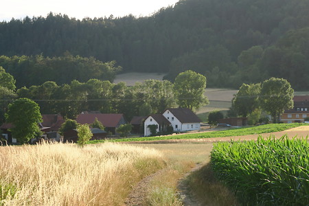 Landschaft &ndash; (07.07.2019, U. Buescher &copy;&nbsp;VGN GmbH)