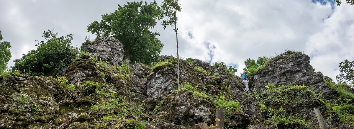 Steilaufstieg zum Großen Kordigast &ndash;  (15.02.2018, VGN &copy;&nbsp;VGN GmbH)