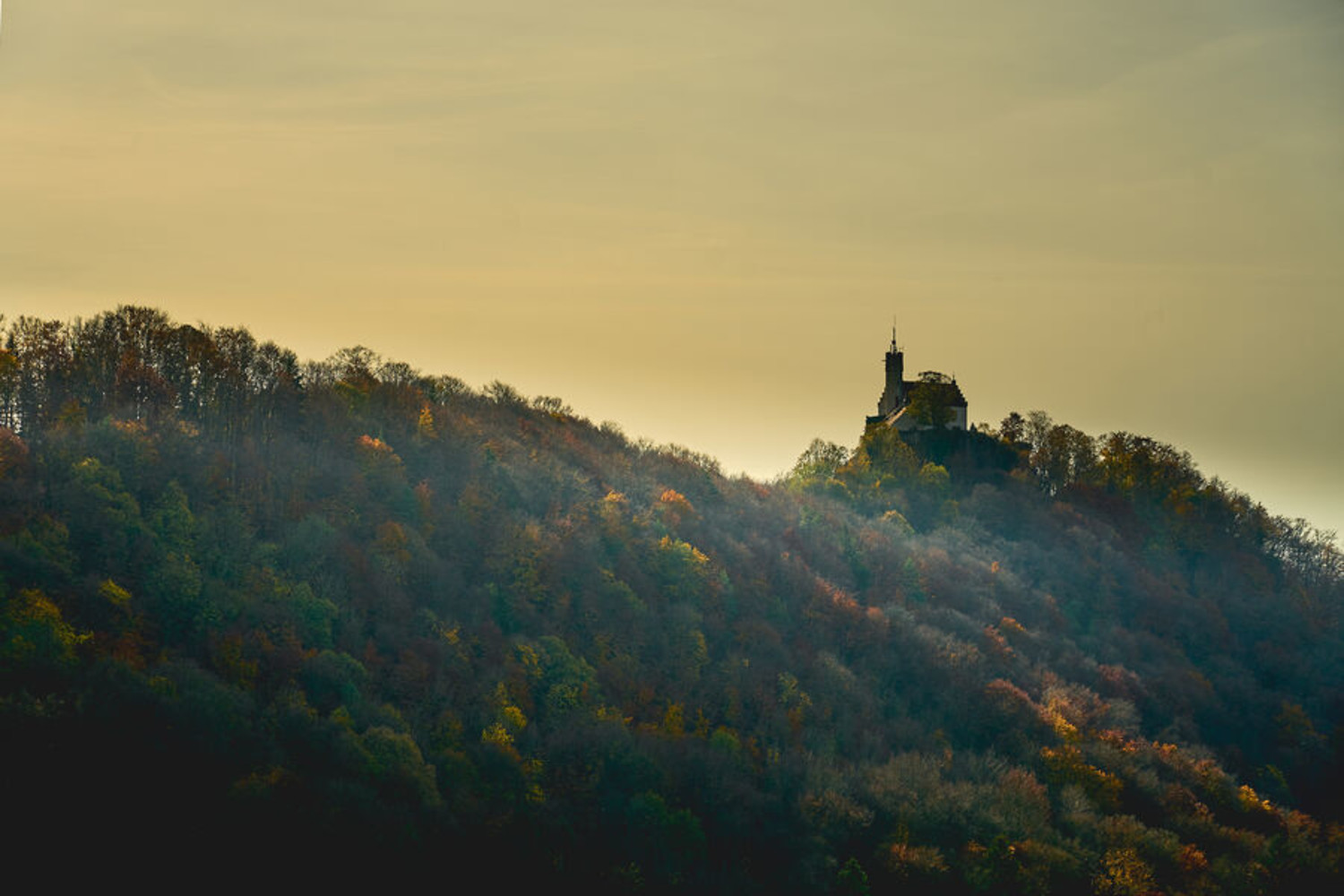 Aussicht &ndash;  (01.11.2022, Ulrich Büscher &copy;&nbsp;VGN)