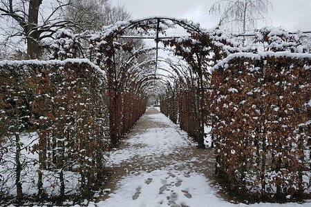 Im Schlosspark &ndash; (28.02.2020, S. Dassler &copy;&nbsp;VGN GmbH)