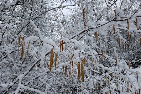 Im Schnee &ndash; (28.02.2020, S. Dassler &copy;&nbsp;VGN GmbH)