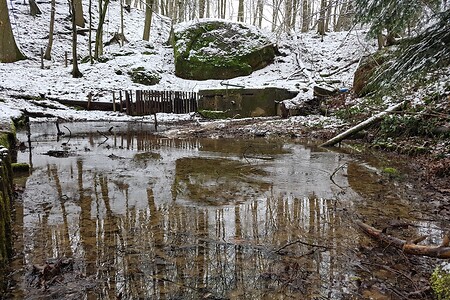 Wasserspiegelung im Teufelsgraben &ndash; (28.02.2020, S. Dassler &copy;&nbsp;VGN GmbH)