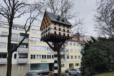 Großes Vogelhäuschen &ndash; (28.02.2020, S. Dassler &copy;&nbsp;VGN GmbH)